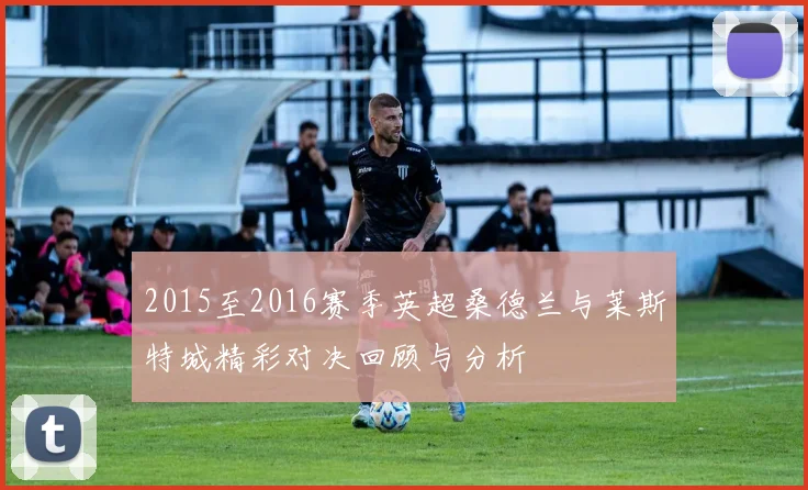 2015至2016赛季英超桑德兰与莱斯特城精彩对决回顾与分析